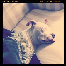 Can Learn from Instagram