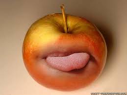 funny wallpapers