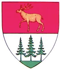 Cernauti