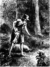 Johnny Appleseed - Wikipedia