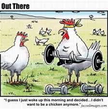 free funny jokes
