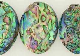 abalone pendant