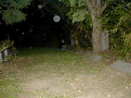 orbs