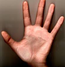 f9a1574e74b5.jpg&t=1