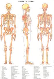 Who Directed Anatomy Of A