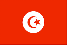 تونس في سطور Flag01