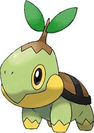 Indicaciones Turtwig