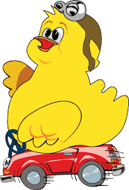 El pollo consigui�