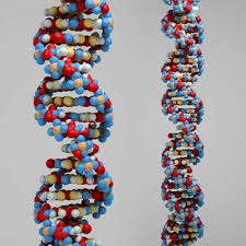 how to make a dna model