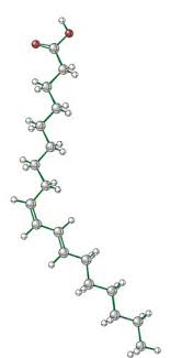 CONJUGATED LINOLEIC ACID