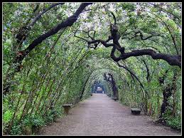 giardini di boboli