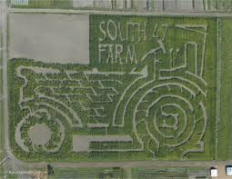 through their corn maze.