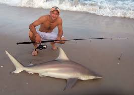 shark fishing pictures