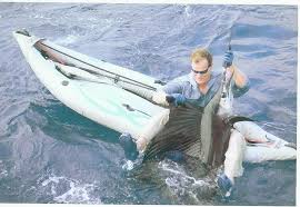 Big game fishing in the