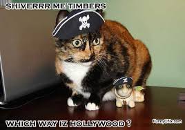 new funny movies