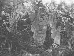 cottingley fairies photos