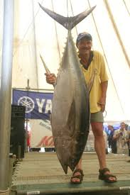 biggest tuna fish