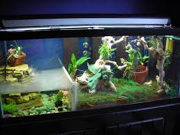 vivarium