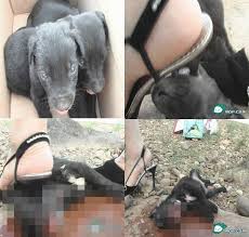 images?q=tbn:Ub47PvU2_QNjtM:<a href=
