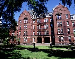 harvard university