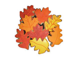 fall leaves