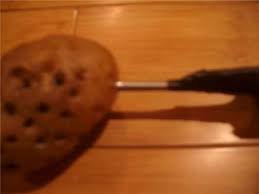 homemade potato cannon