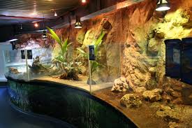 vivarium