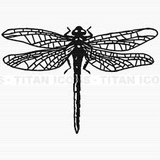 dragonfly clip art free