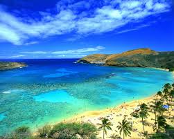 In Hawaii