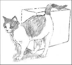 drawings of cats