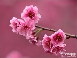 檢視完整大小圖片