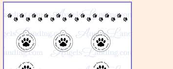 kitten paw prints