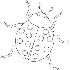 lady bug coloring sheets