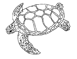 national geographic coloring sheets