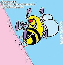 bumble bee sting