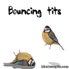 Big Natural Tits Are Bouncing While She Riding ...