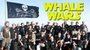 Watch Whale Wars Season 3