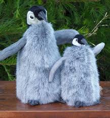 real penguin pictures