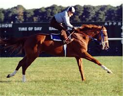 Secretariat Belmont Photo