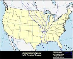 Mississippi Flyway with