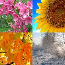 seasons