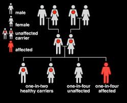 How is Tay-Sachs disease