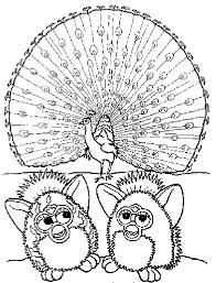 peacock coloring