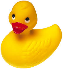 ducky