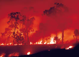 victorian bushfires