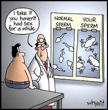 funny forwards