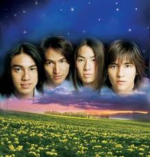 meteor garden