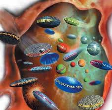 كيف تعرف التداخلات الدوائية  drug - drug interactions Drug_interaction