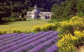 french in Provence france
