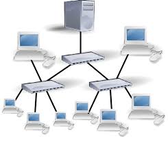 http://t3.gstatic.com/images?q=tbn:XiZ30x1XndioeM:http://upload.wikimedia.org/wikipedia/commons/5/5a/Topolox%C3%ADa_en_%C3%A1rbore.png